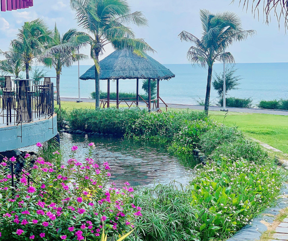 ocenami long hải